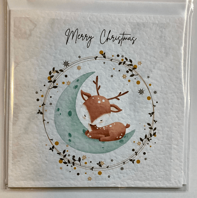 Personalised First Christmas frame and album set. Reindeer design.