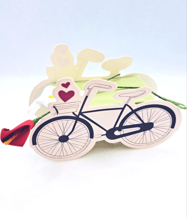50 pcs bicycle wedding favours gift boxes. Wedding gifts for guests.