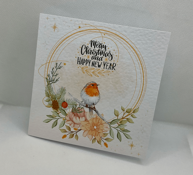 Beautiful Robin card. Christmas card. Fully customisable.